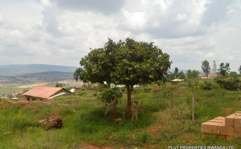 gisozi land 130m (6)