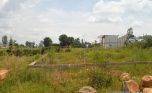 gisozi land 130m (7)
