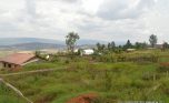gisozi land 130m (8)