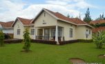 kagugu rent $1000 (3)