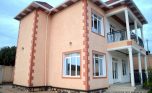 gisozi complex for rent (4)