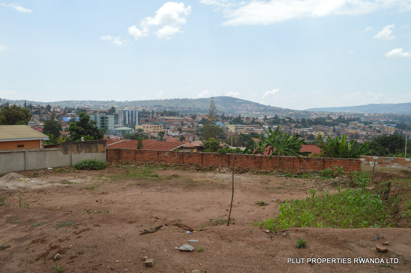 remera plot sale