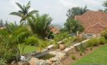 NYARUTARAMA RENT APARTMENTS (4)