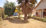 kimironko sale plut properties (4)
