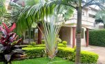 kagugu rent plut properties (3)