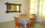kagugu rent plut properties (7)