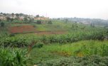 kimironko plot plut properties (6)