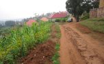 kimironko plot plut properties (8)