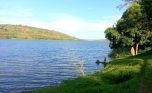muhazi land plut properties (1)