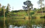 muhazi land plut properties (2)