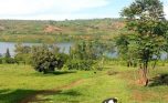 muhazi land plut properties (5)