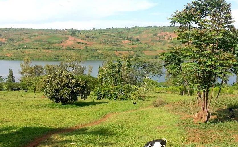 muhazi land plut properties (5)