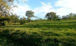 muhazi land plut properties (6)