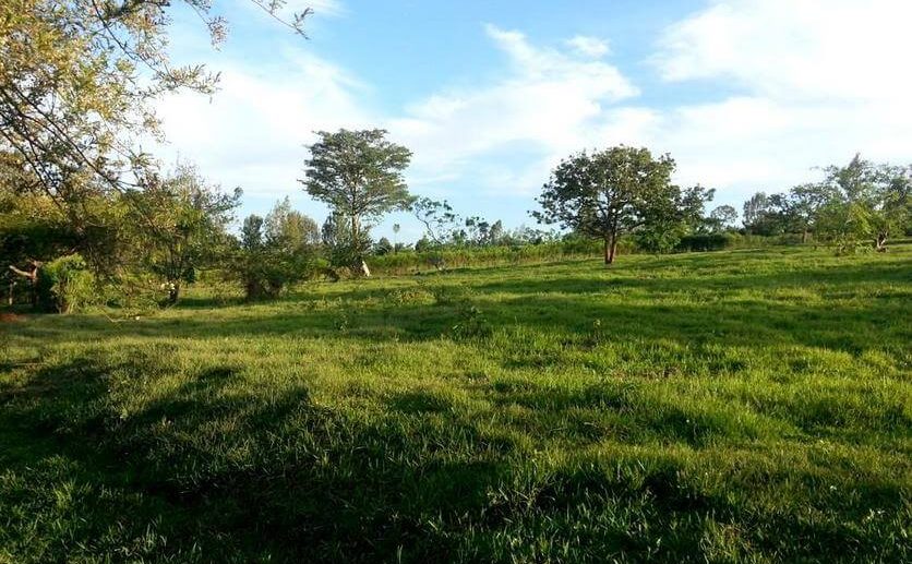 muhazi land plut properties (6)