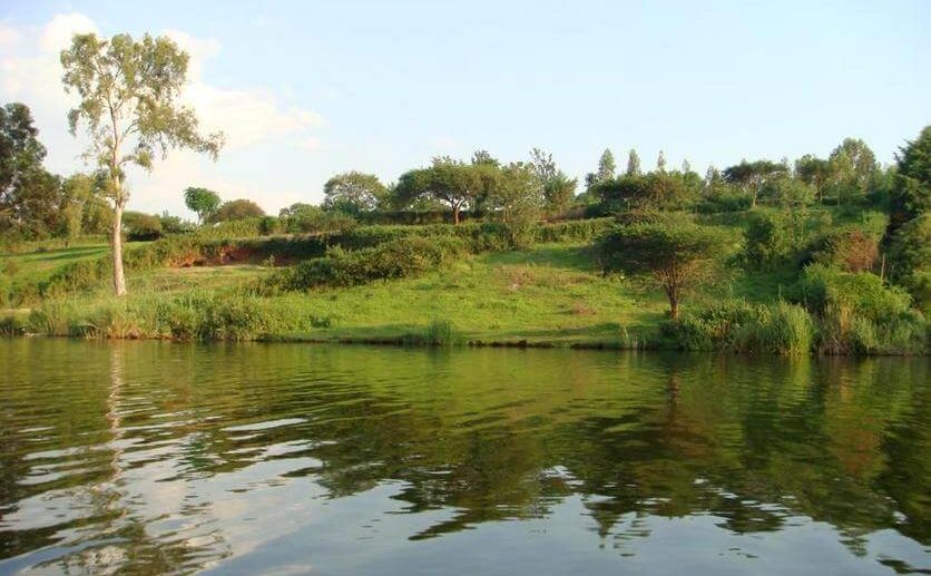 muhazi land plut properties (7)