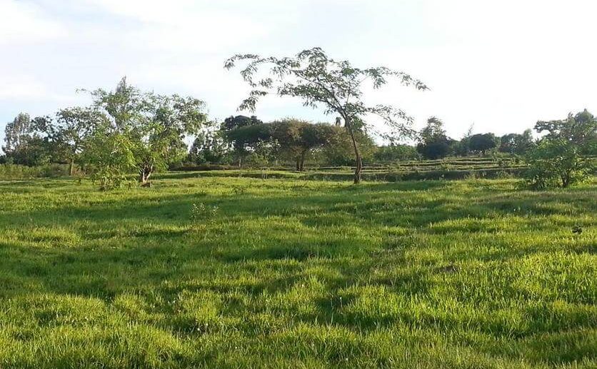muhazi land plut properties (8)
