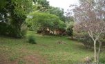 kiyovu rent pool (6)