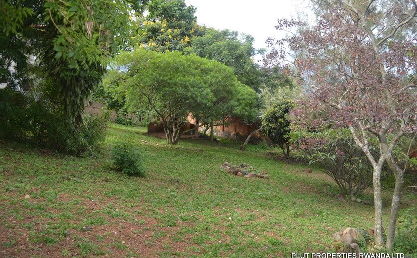 kiyovu rent pool (6)