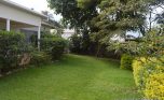 kiyovu rent pool (9)