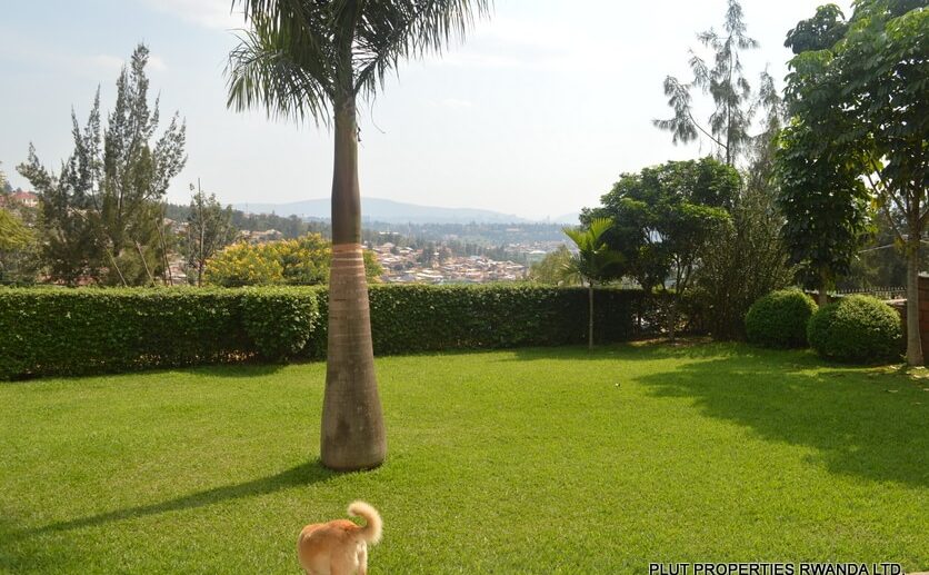 kibagabaga sale plut properties (14)