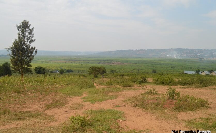 gahanga plot (1)