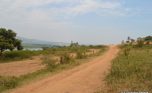 gahanga plot (2)