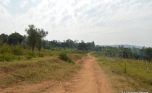 gahanga plot (3)