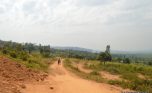 gahanga plot (6)