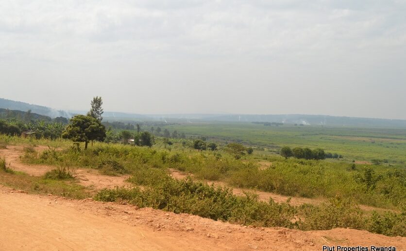 gahanga plot (7)
