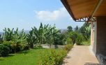 kiyovu rent (2)