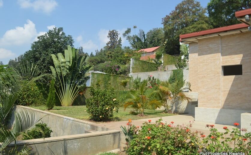 kiyovu rent (3)