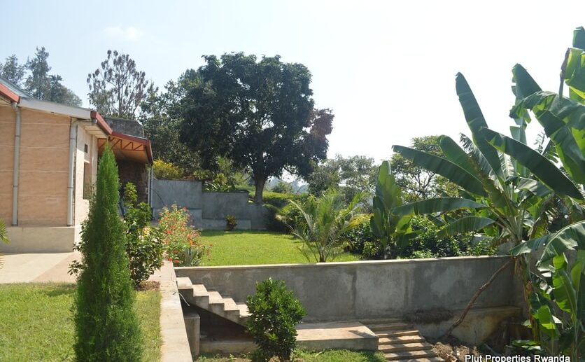 kiyovu rent (5)