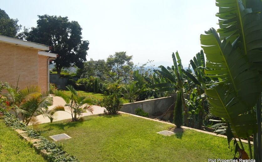 kiyovu rent (7)