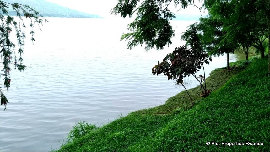 Land on the lake
