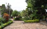 nyarutarama rent (1)