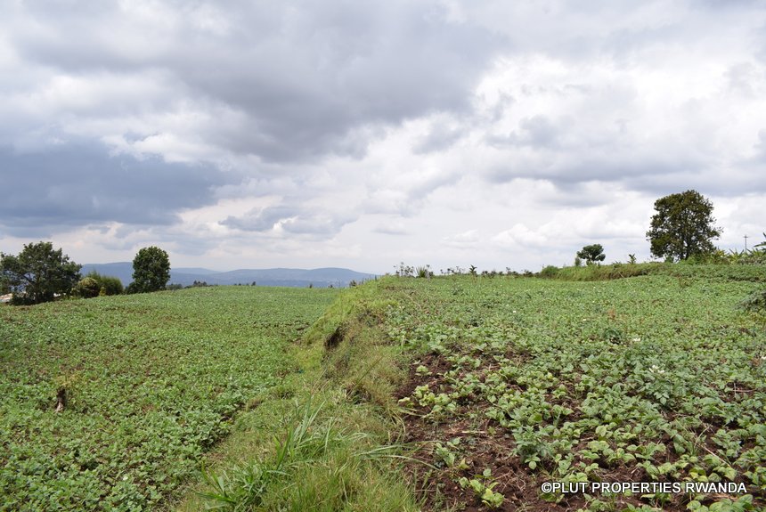 Agricultural land in Kigali