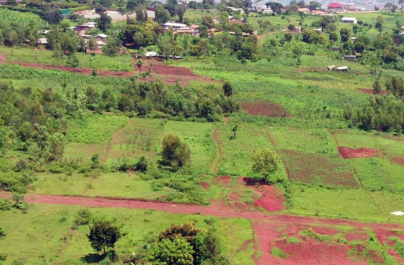 rebero plots for sale plut properties (3)