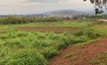 rebero plots for sale plut properties (4)
