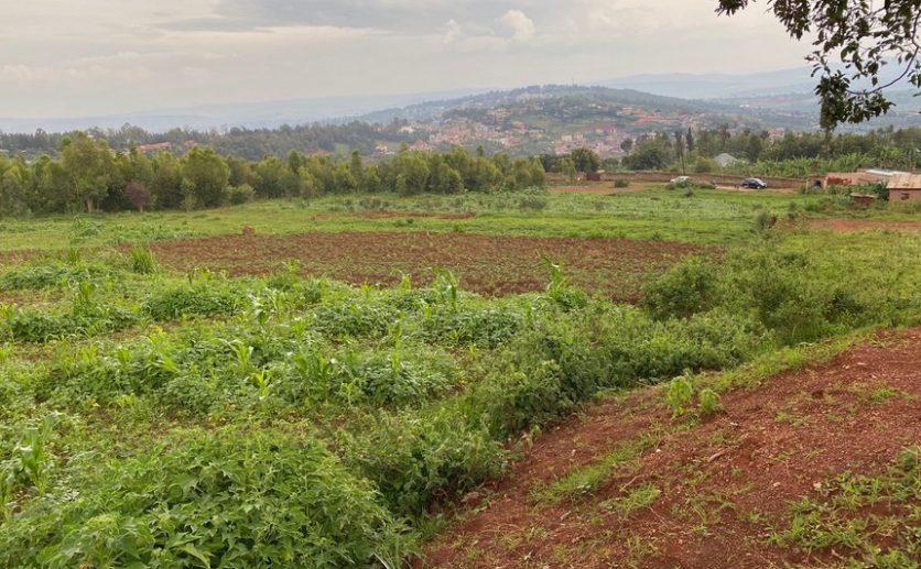 rebero plots for sale plut properties (4)