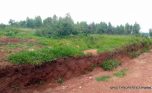 rebero plots for sale plut properties (5)