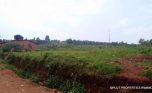 rebero plots for sale plut properties (6)