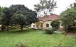kimihurura rent plut properties (6)