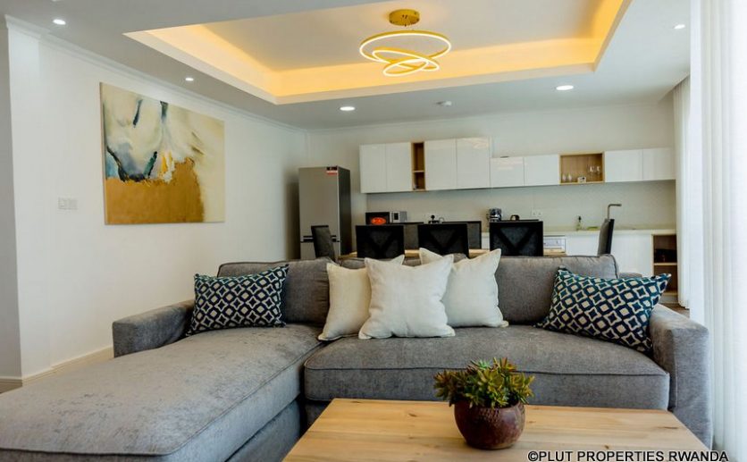 mayfair apartments for rent plut properties (19)