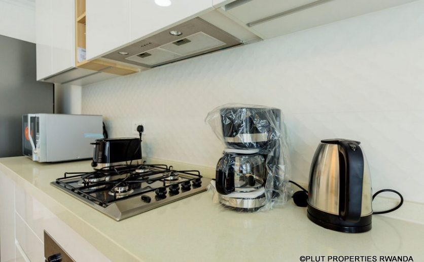 mayfair apartments for rent plut properties (45)
