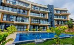 mayfair apartments for rent plut properties (50)
