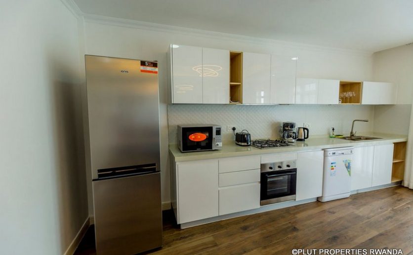 mayfair apartments for rent plut properties (8)