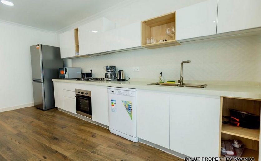 mayfair apartments for rent plut properties (9)