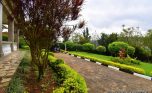 nyarutarama rental house plut properties (11)