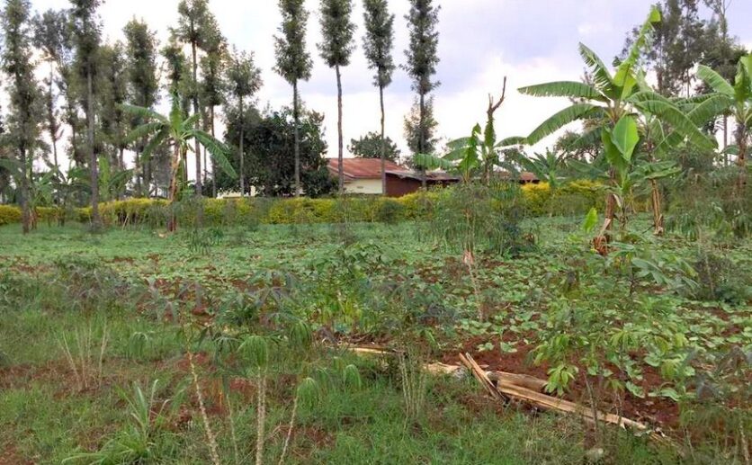 rwamagana land plut properties (11)