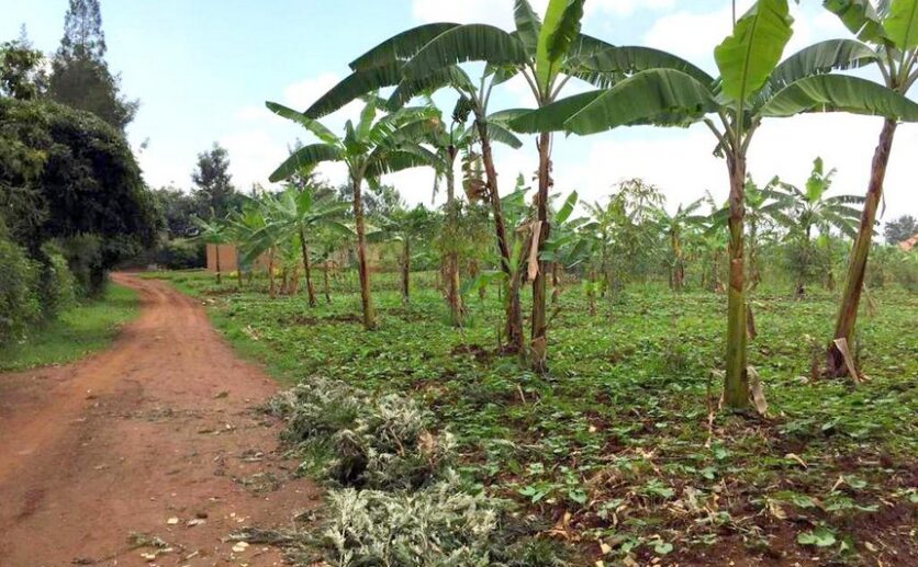 rwamagana land plut properties (5)